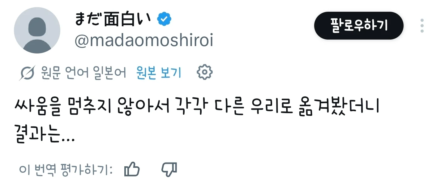 싸움을 멈추지 않아서 각각 다른 우리로 옮겨봤더니