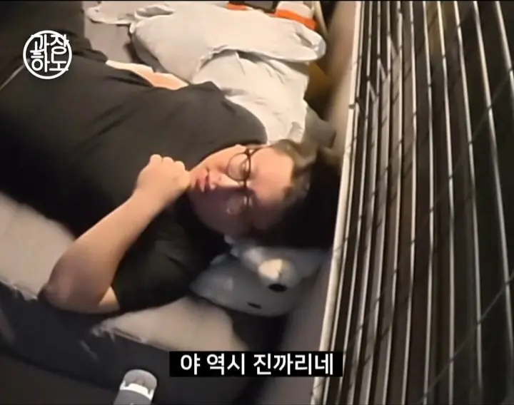 ‘무섭노’사태에 대한 경상도인들 생각 (11)