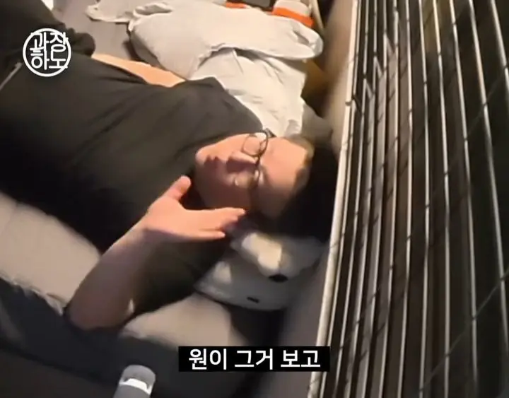 ‘무섭노’사태에 대한 경상도인들 생각 (12)