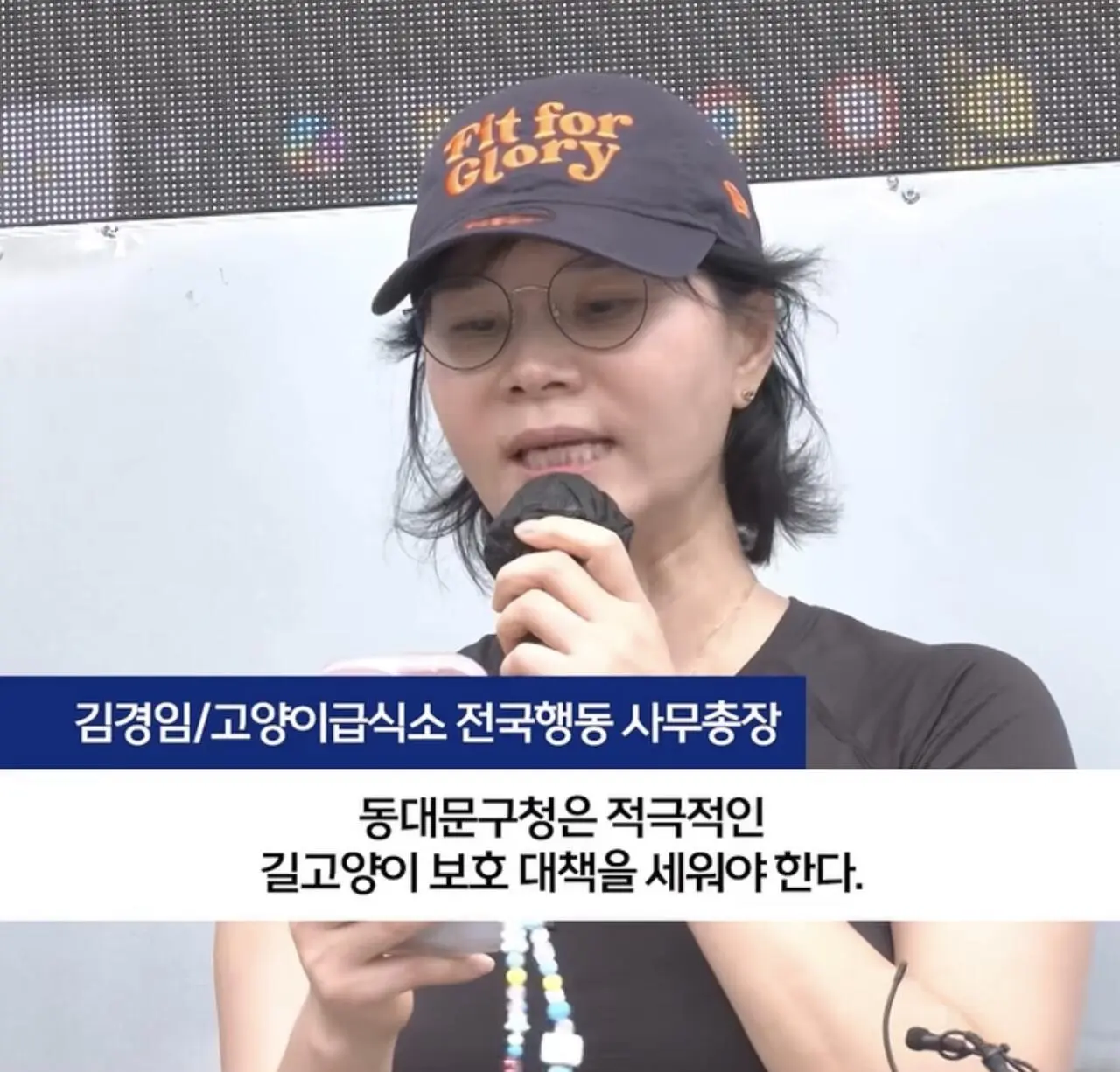 ”고양이 밥주면 10만원“에 고소까지.. 갈등 폭발 (3)