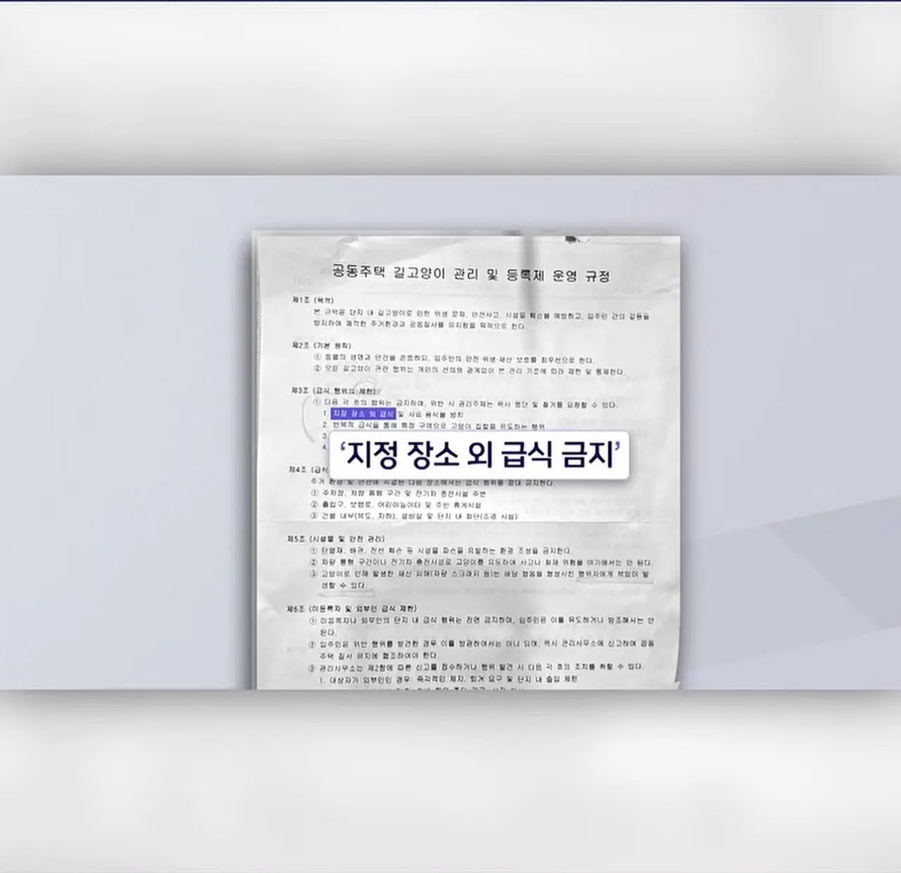 ”고양이 밥주면 10만원“에 고소까지.. 갈등 폭발 (4)