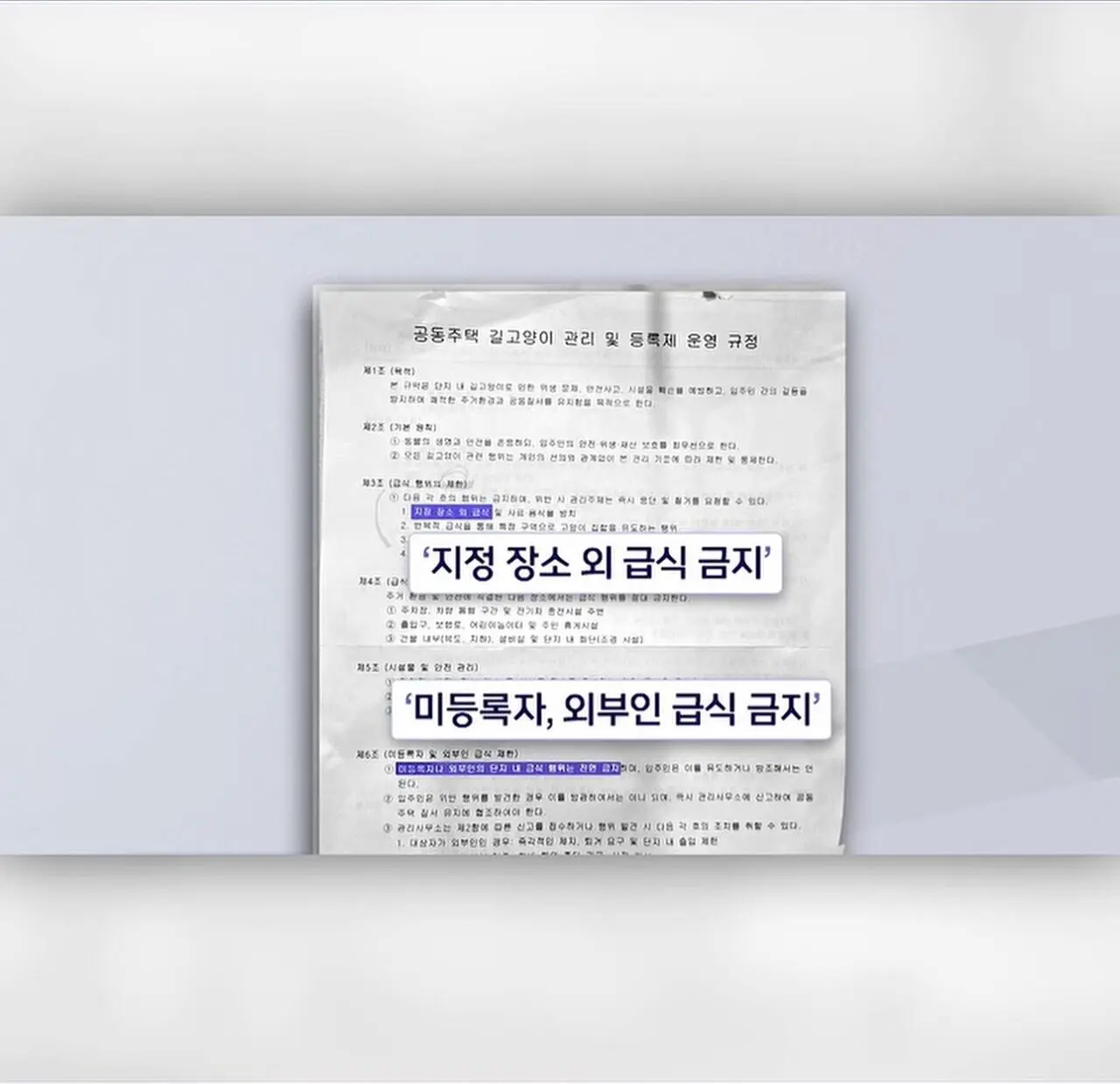”고양이 밥주면 10만원“에 고소까지.. 갈등 폭발 (5)