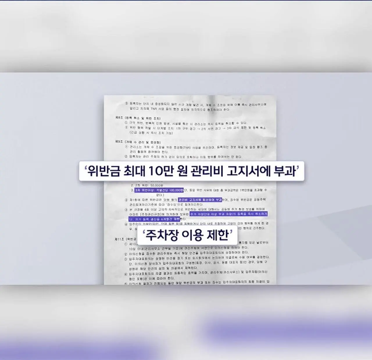 ”고양이 밥주면 10만원“에 고소까지.. 갈등 폭발 (6)