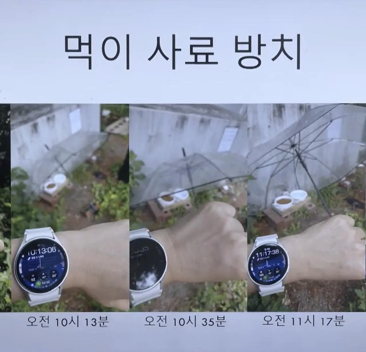 ”고양이 밥주면 10만원“에 고소까지.. 갈등 폭발 (7)