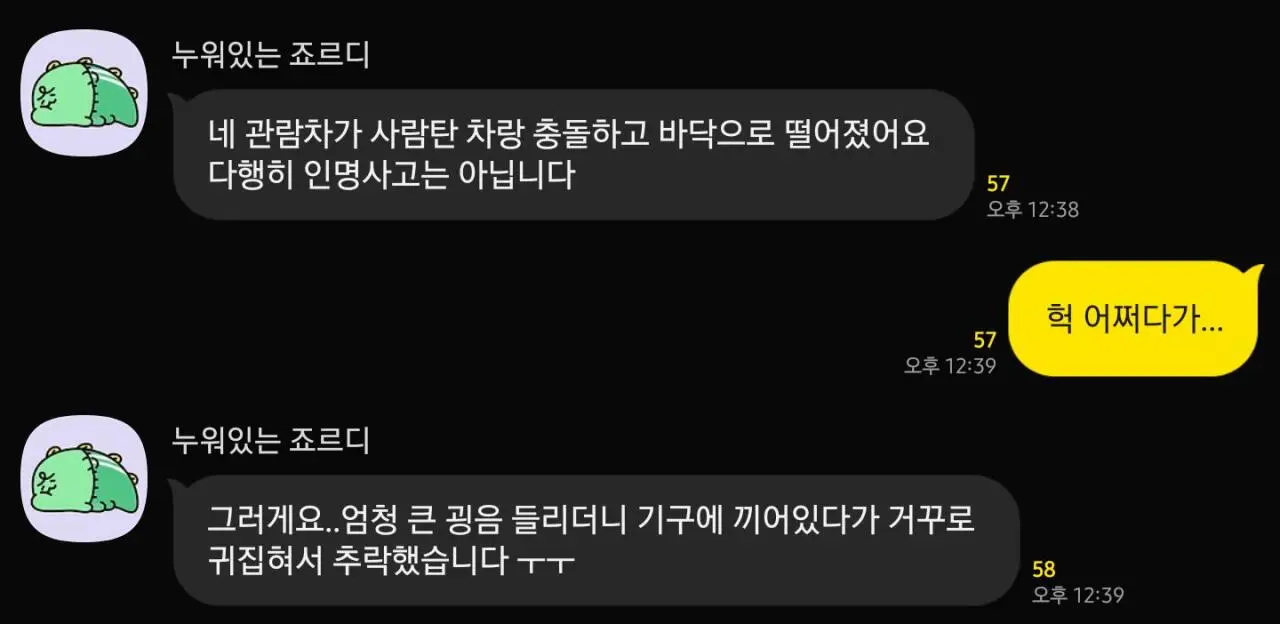 경주월드 관람차 캐빈 추락 사고 (5)