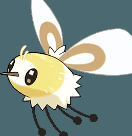 복슬복슬 커여운 솜뭉치.jpg (11)