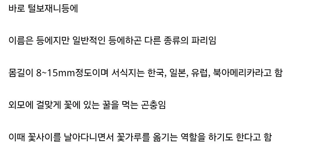 복슬복슬 커여운 솜뭉치.jpg (12)