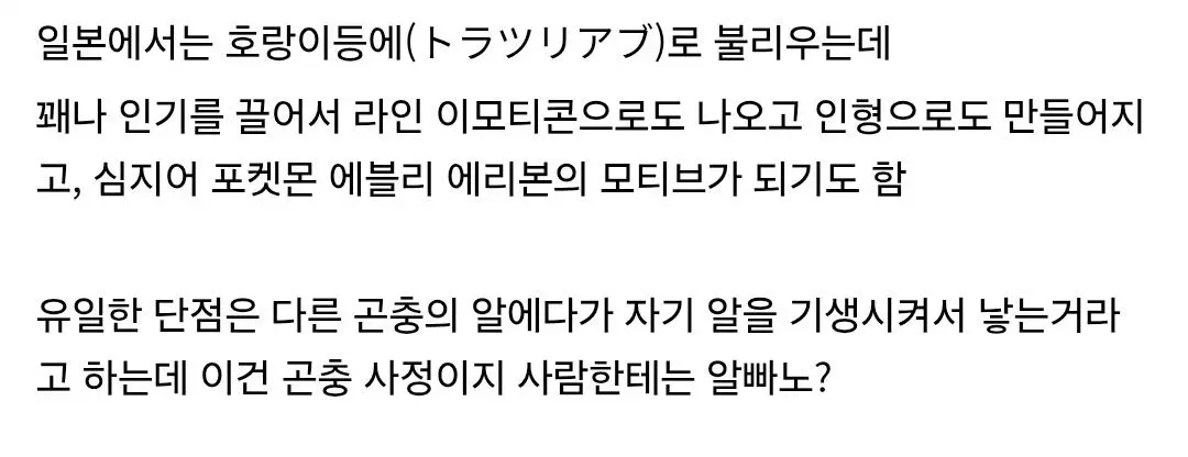 복슬복슬 커여운 솜뭉치.jpg (13)