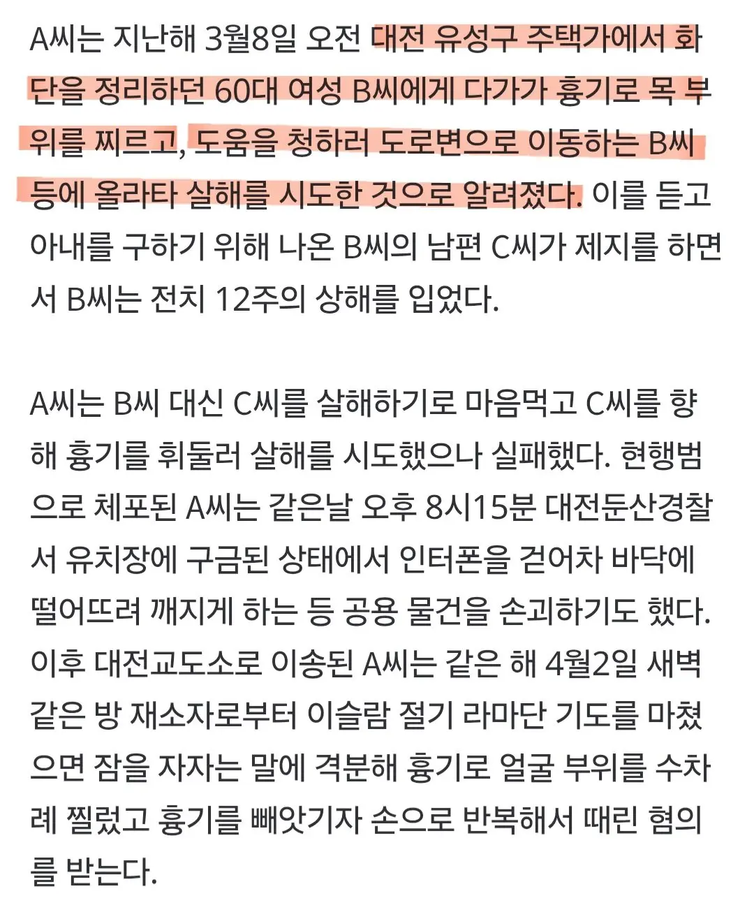 대전에서 있었던 이슬람 난민 참수테러 사건 (3)