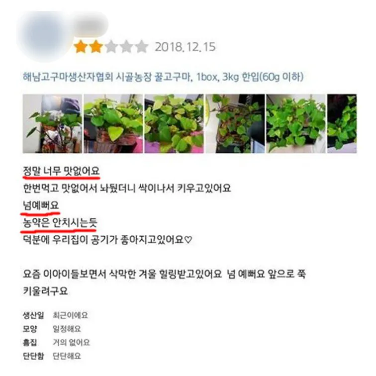 (고전주의) 리뷰빌런 모음 (5)
