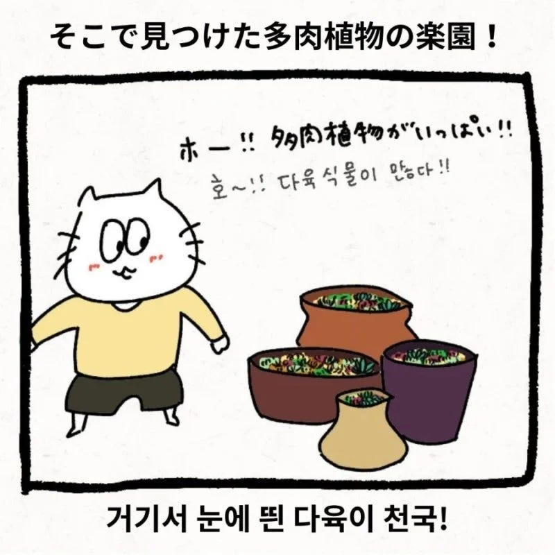 정 많은 한국 시어머니 (2)