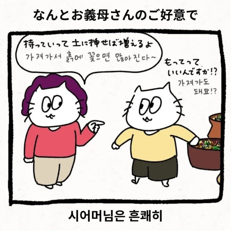 정 많은 한국 시어머니 (3)
