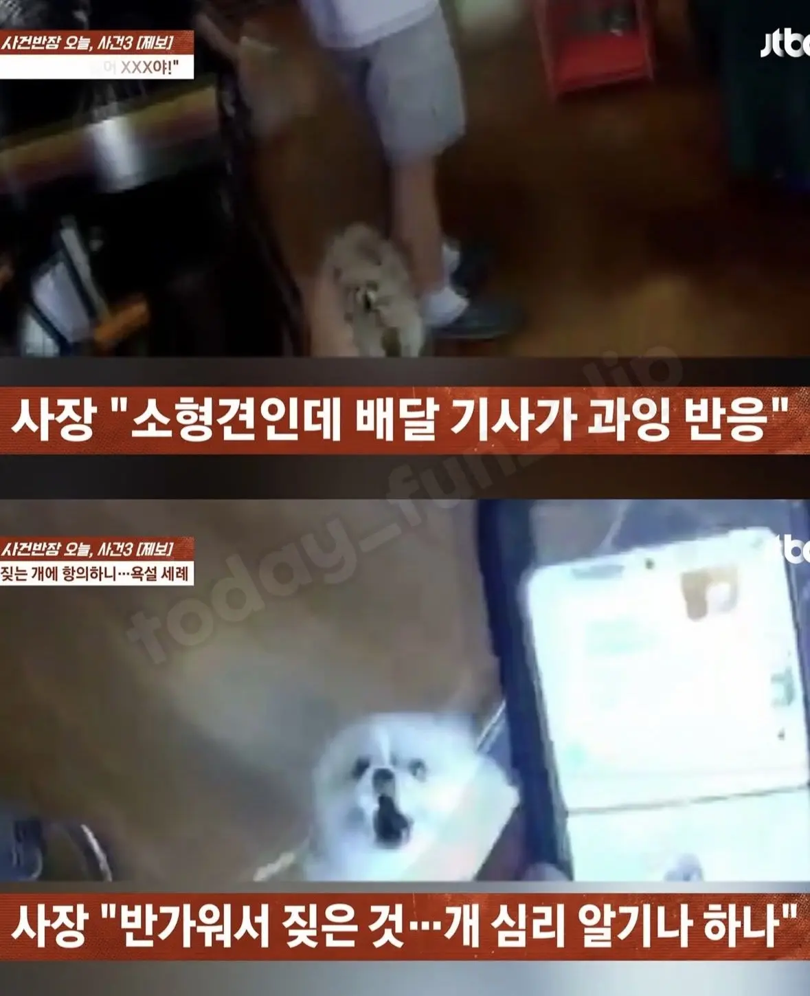 사건반장 우리개는 안물어요 XXX야 (19)