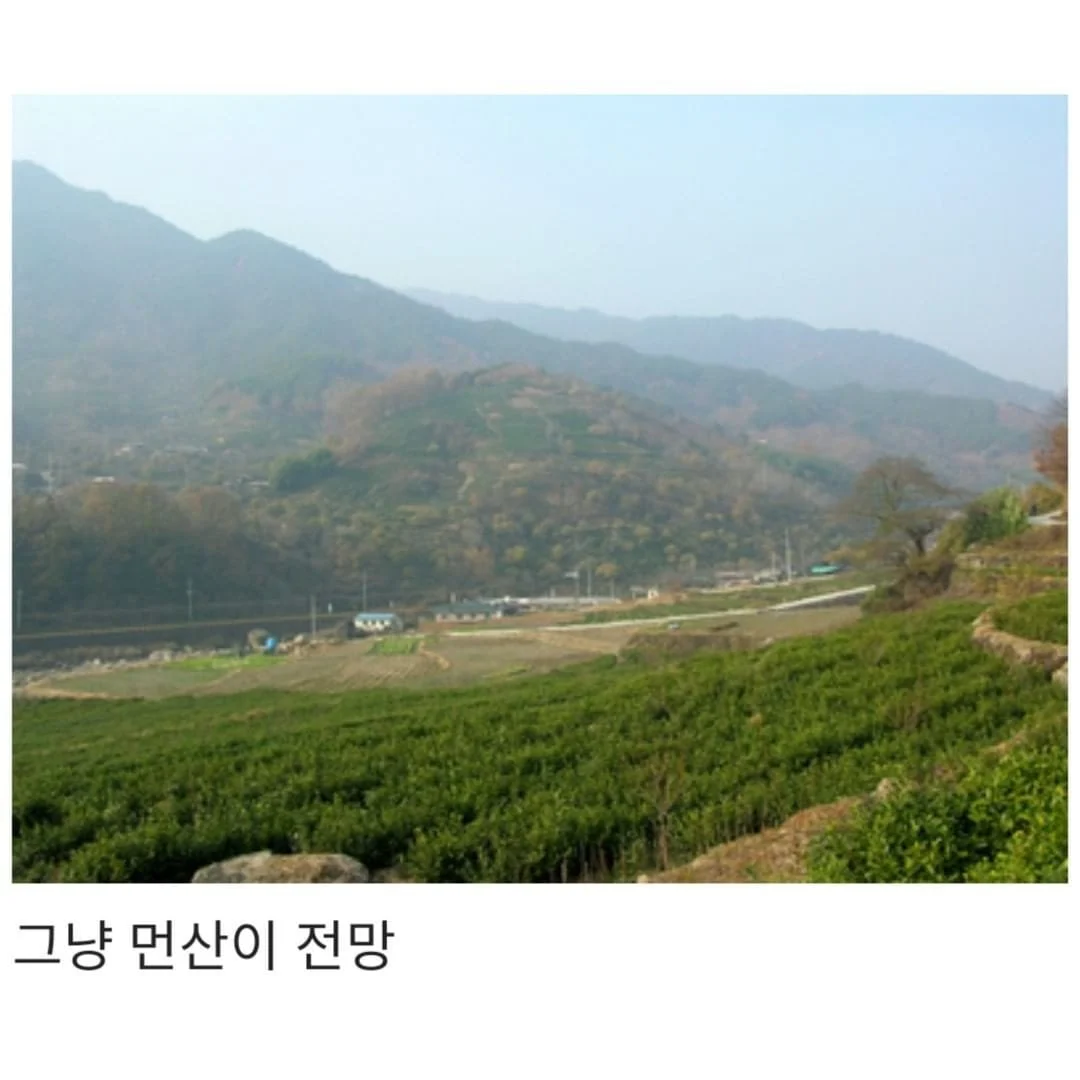 찐 시골 특징.jpg (5)