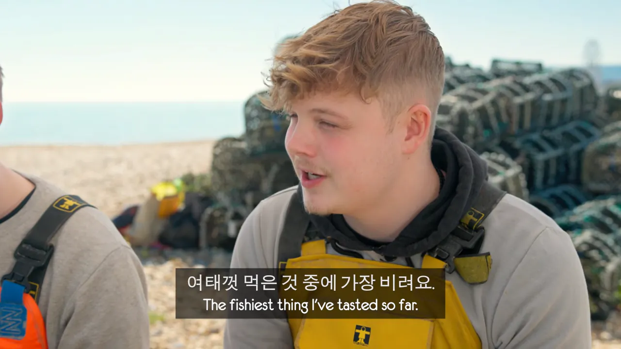 영국인들의 한국식 골뱅이 요리 리뷰 (23)