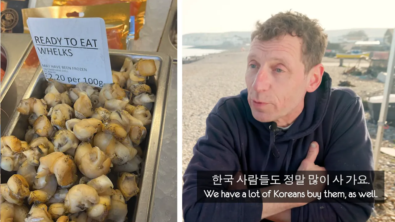 영국인들의 한국식 골뱅이 요리 리뷰 (27)