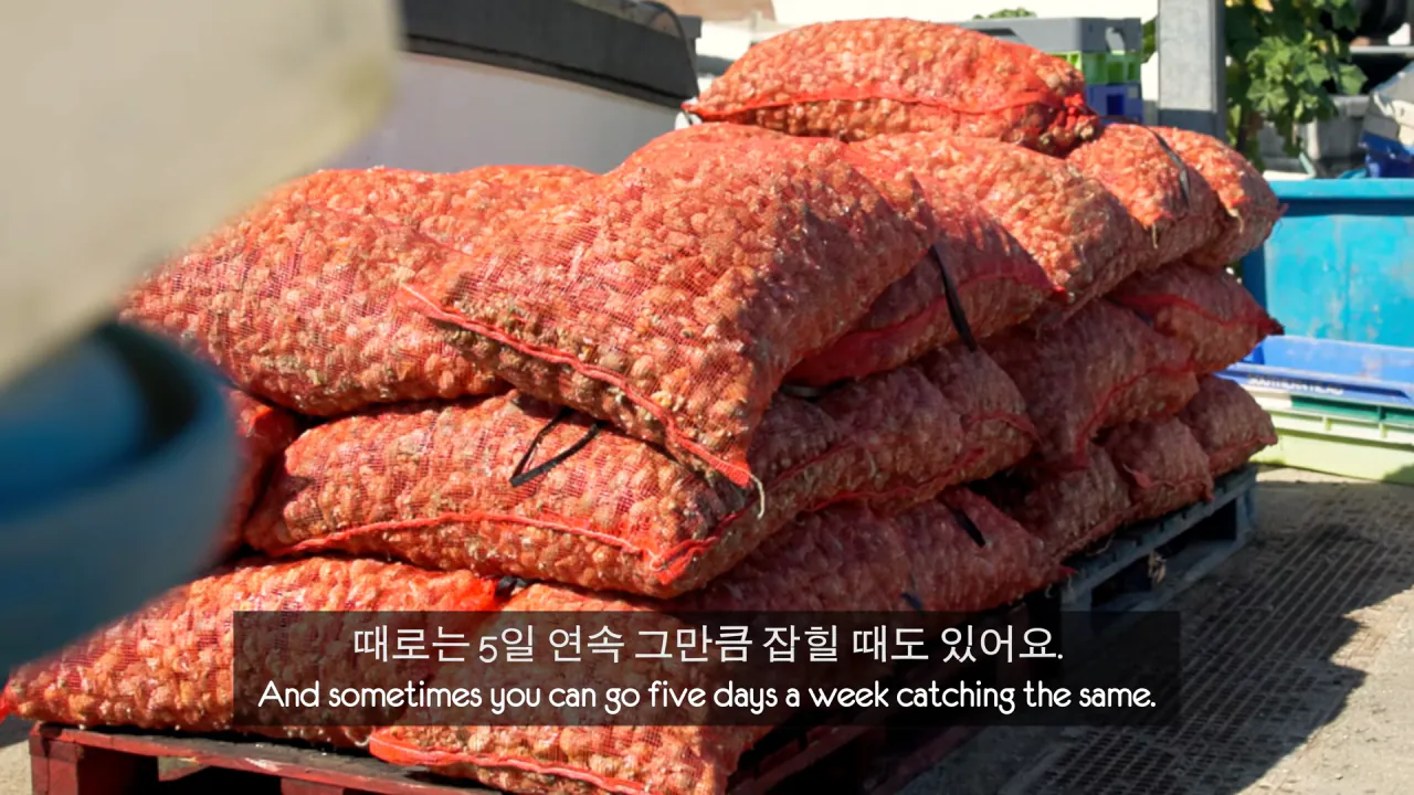영국인들의 한국식 골뱅이 요리 리뷰 (3)