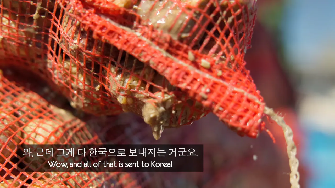 영국인들의 한국식 골뱅이 요리 리뷰 (4)