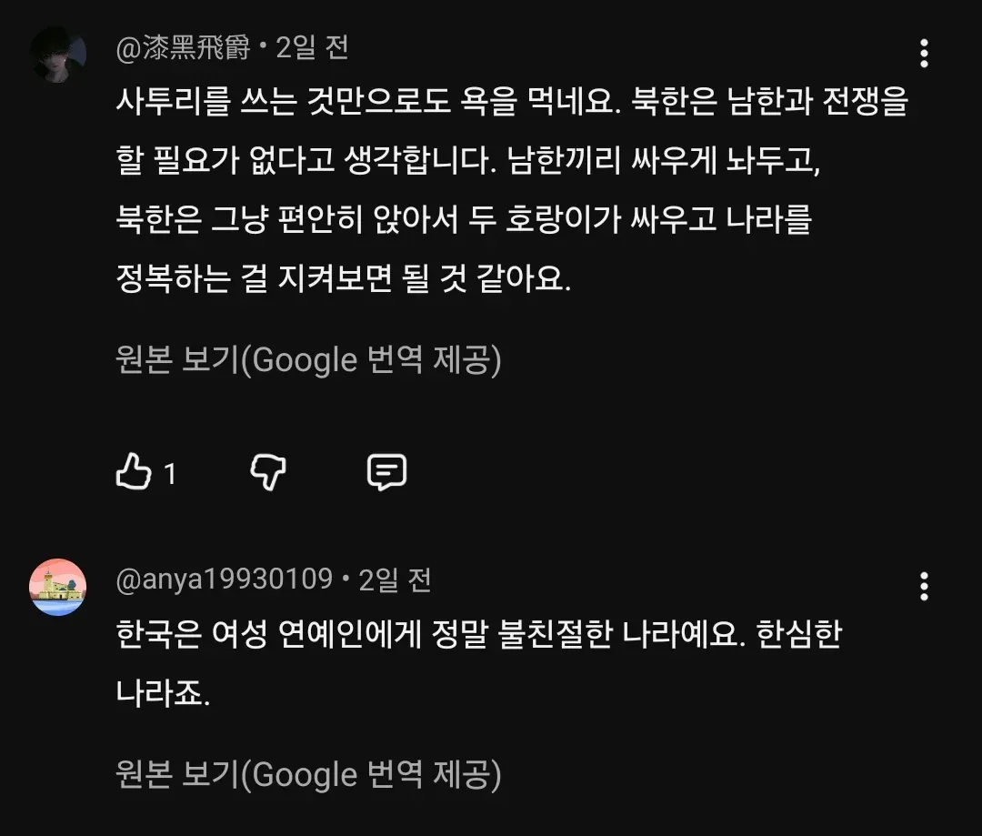 대만에서 엄청 욕먹고 있는 리센느 일베논란 (10)