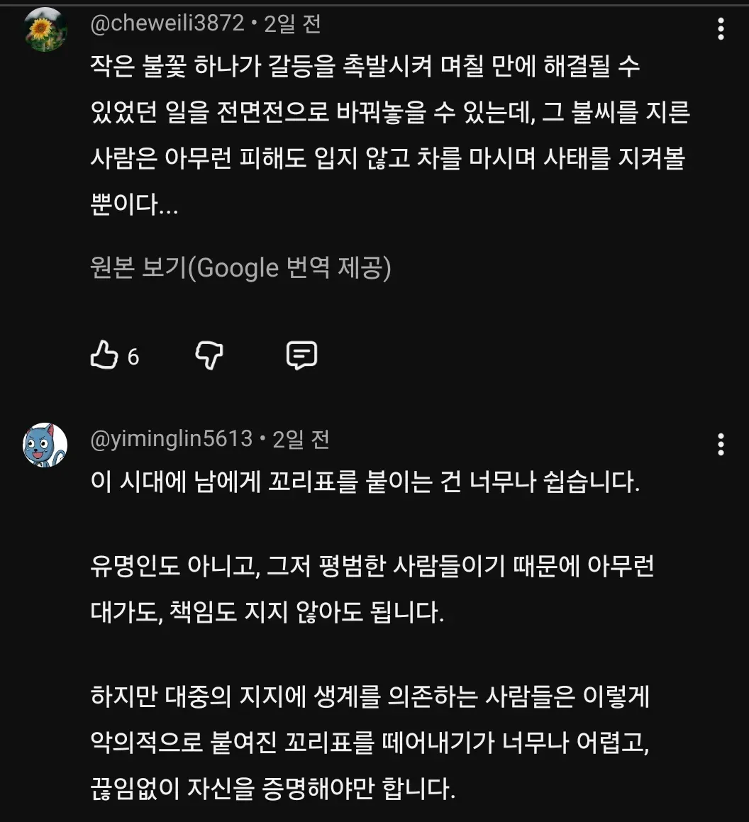 대만에서 엄청 욕먹고 있는 리센느 일베논란 (8)
