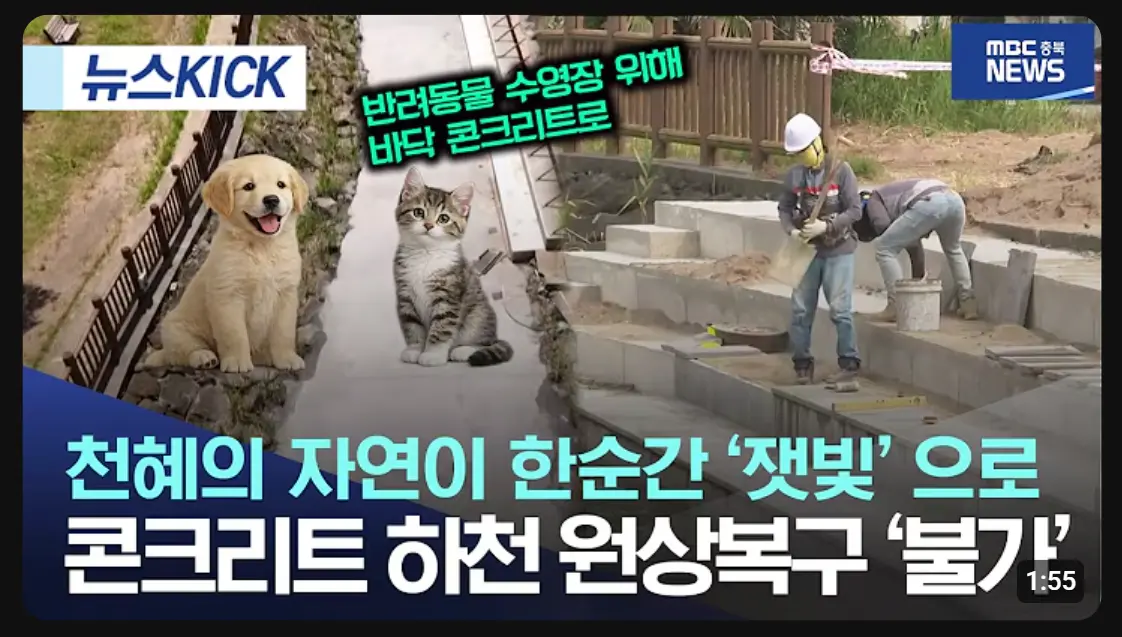 이번엔 문화유산을 없애버린 제주도 (9)