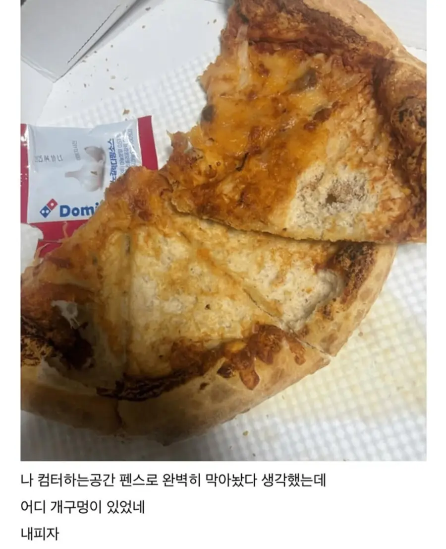 피자 훔쳐먹은 강아지 (2)