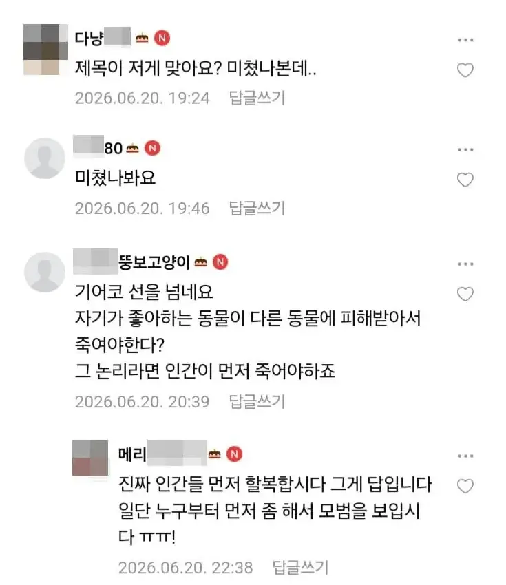 캣맘금지법_ 청원 시작한 새덕후 (3)
