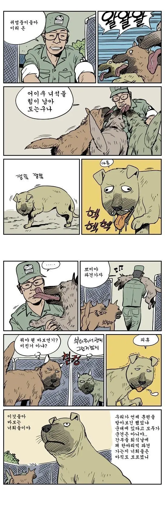 말년 군견이 바보연기 하는 이유 (2)
