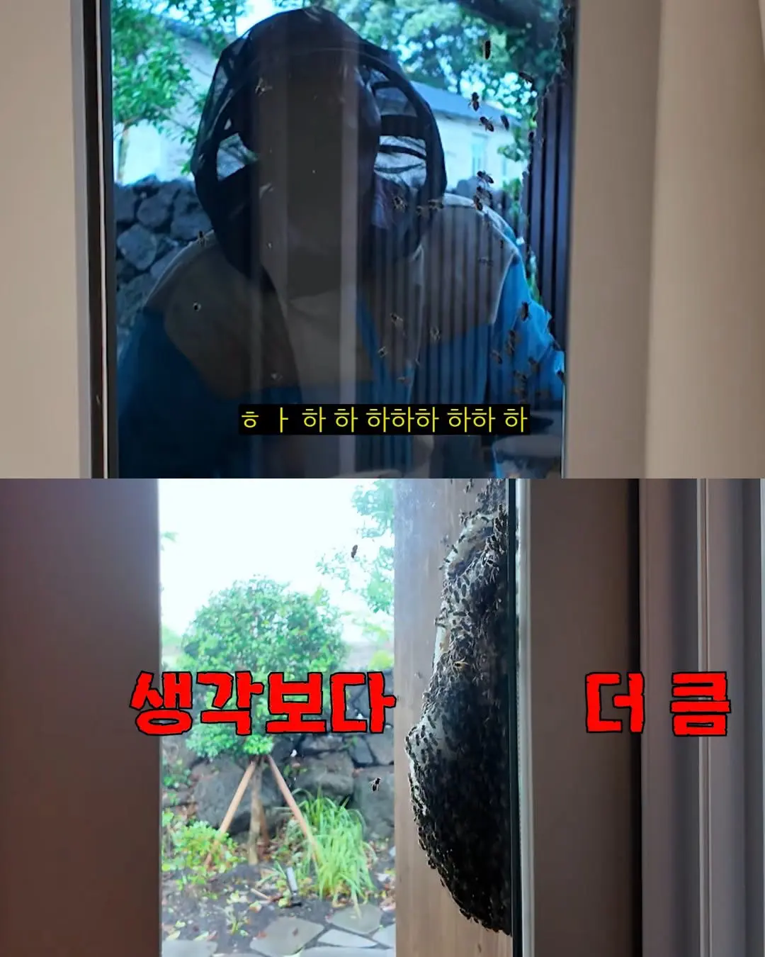2주만에 간 집에서 119부른 김숙 (14)