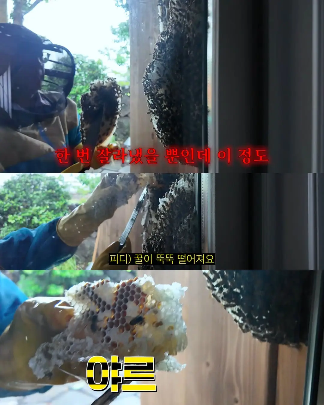 2주만에 간 집에서 119부른 김숙 (15)