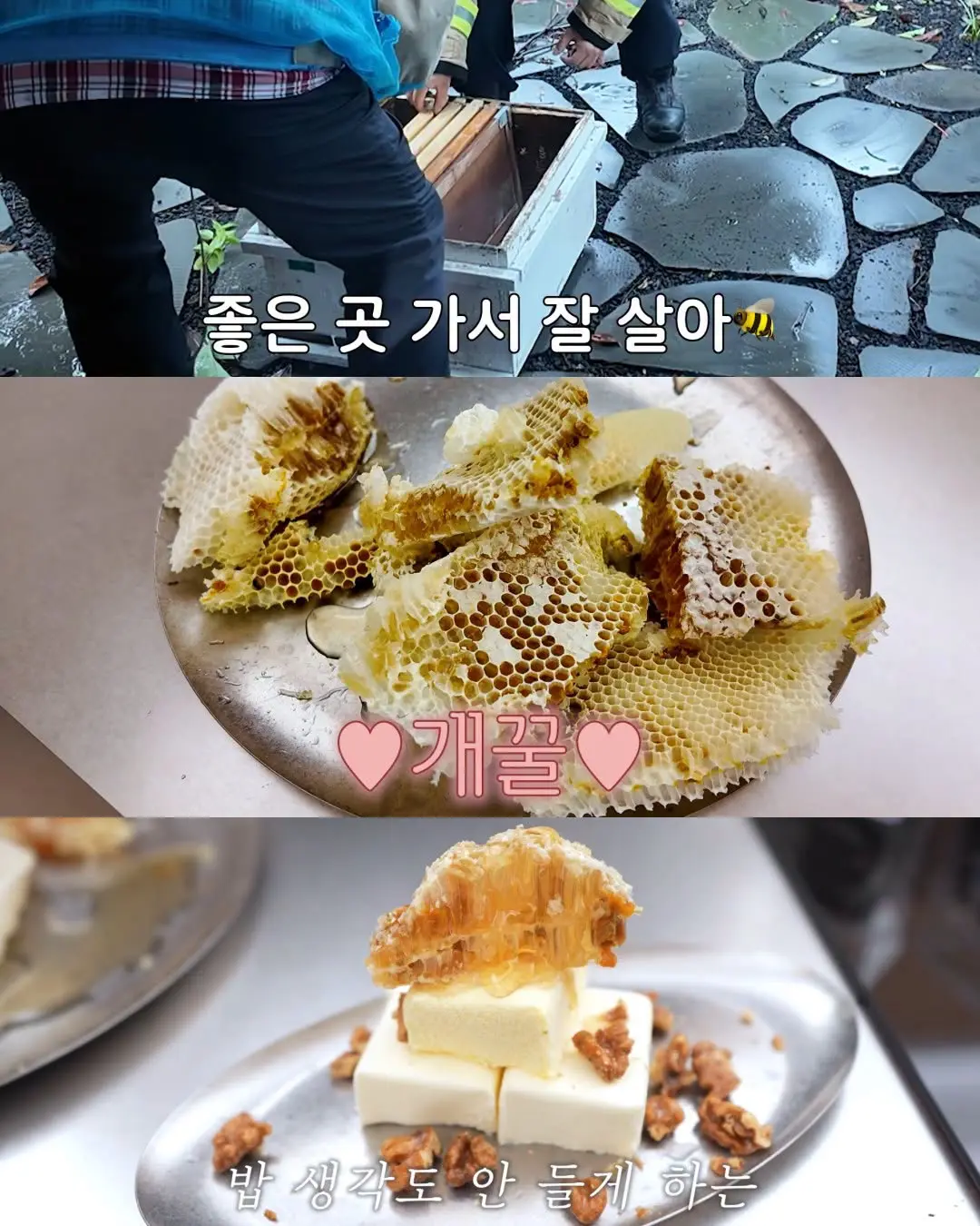 2주만에 간 집에서 119부른 김숙 (17)