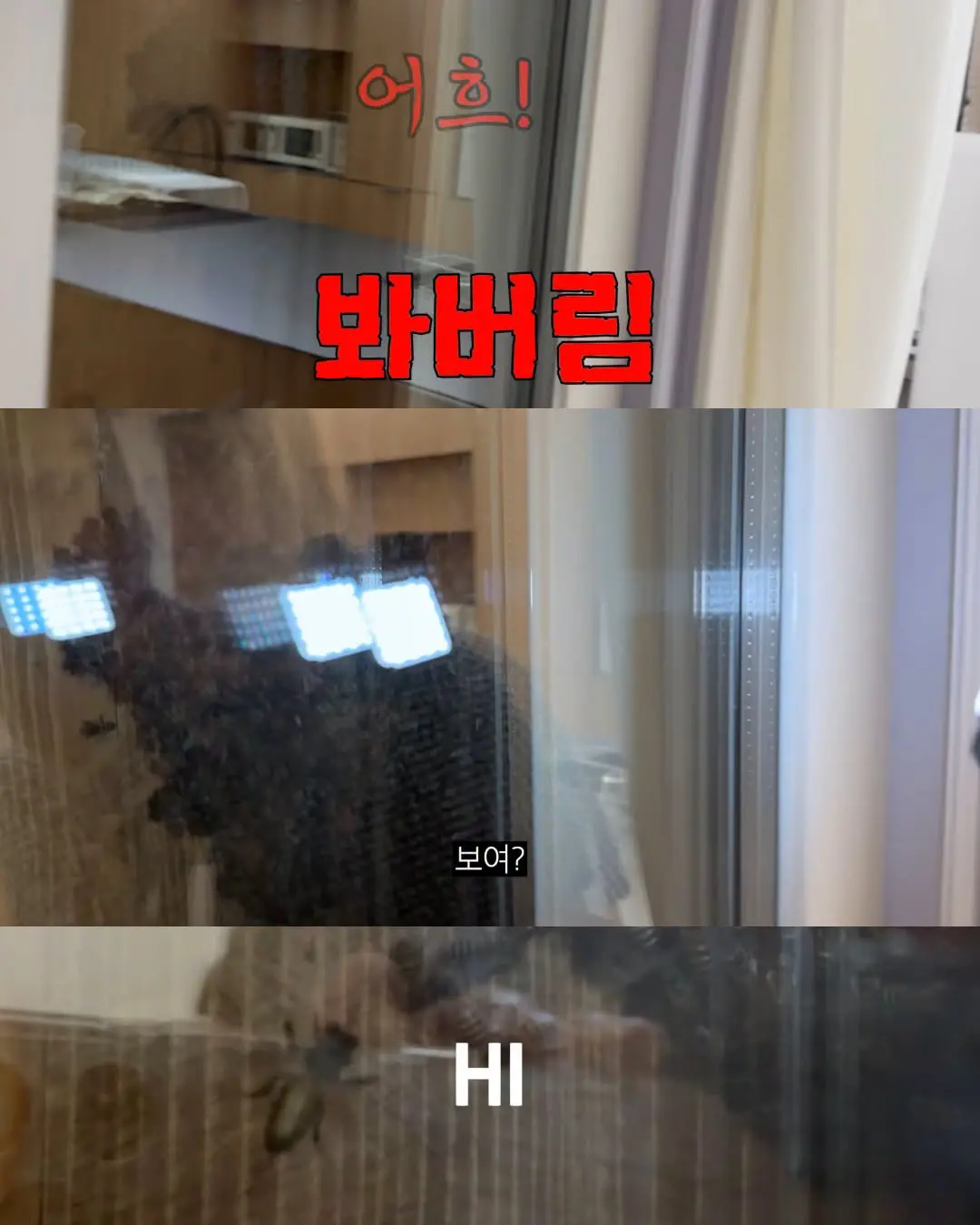 2주만에 간 집에서 119부른 김숙 (4)