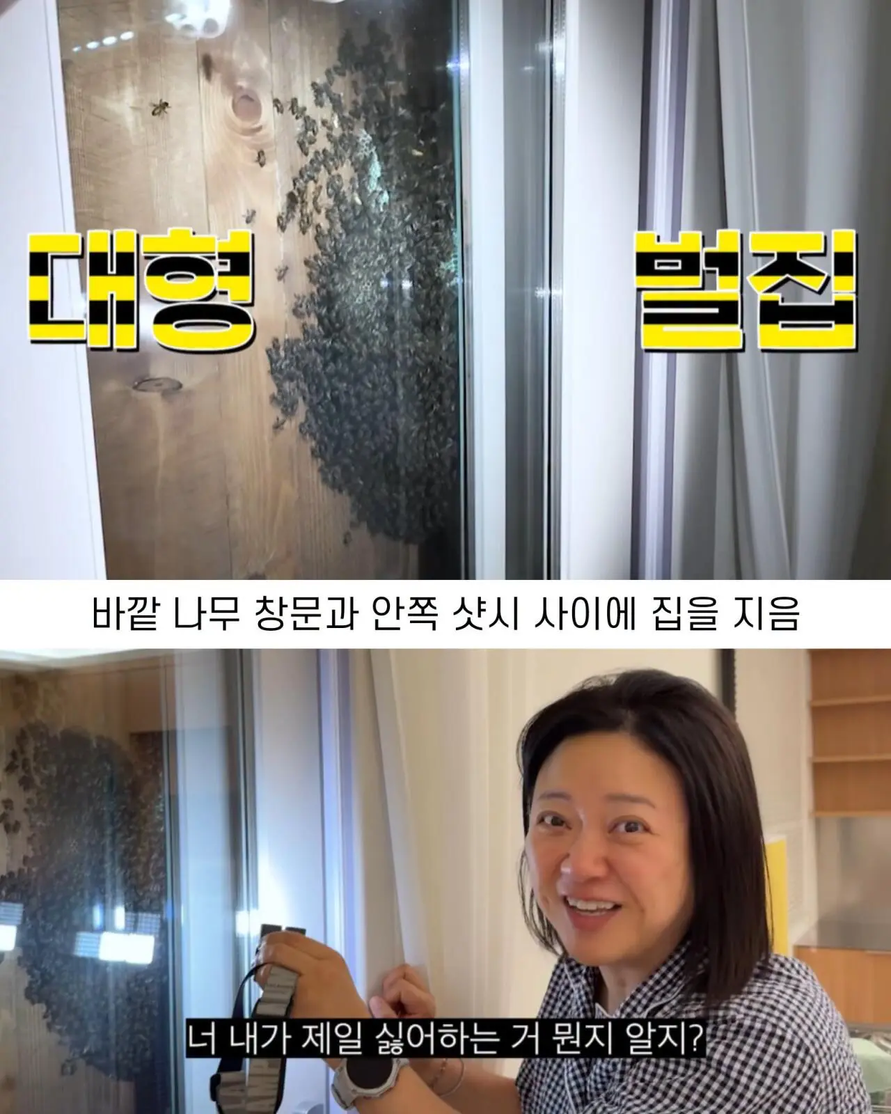 2주만에 간 집에서 119부른 김숙 (5)