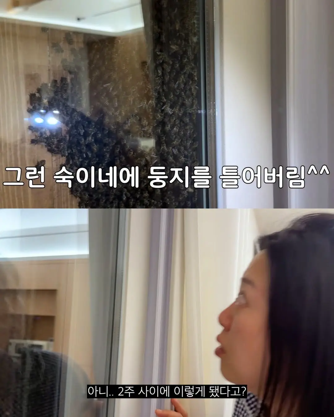 2주만에 간 집에서 119부른 김숙 (7)