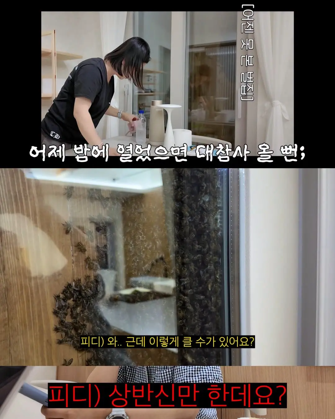 2주만에 간 집에서 119부른 김숙 (8)