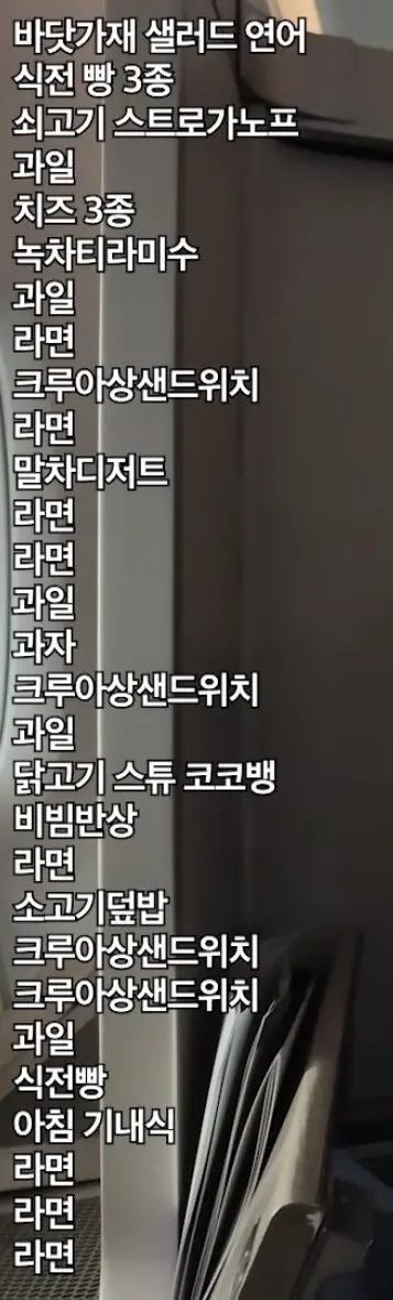 기내식으로 20끼 먹방하고 욕까지 먹방중인 유튜버 (5)