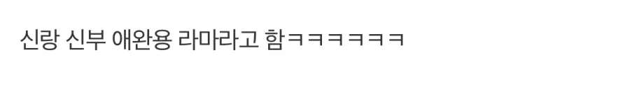너무 수상한 하객.jpg (4)