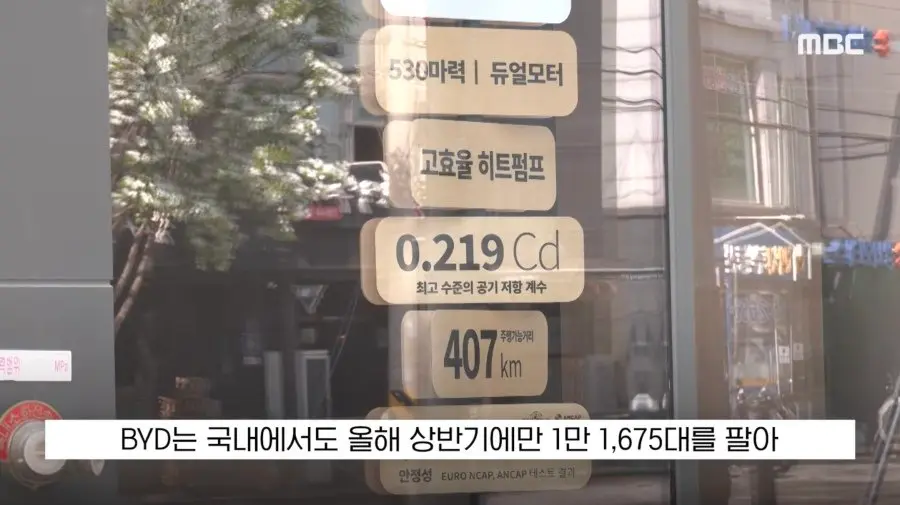우리나라 수입차 판매4위 BYD 수준 (11)