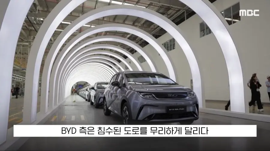우리나라 수입차 판매4위 BYD 수준 (15)