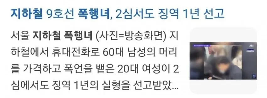 4호선 뚝딱녀 징역 1년 선고 (3)