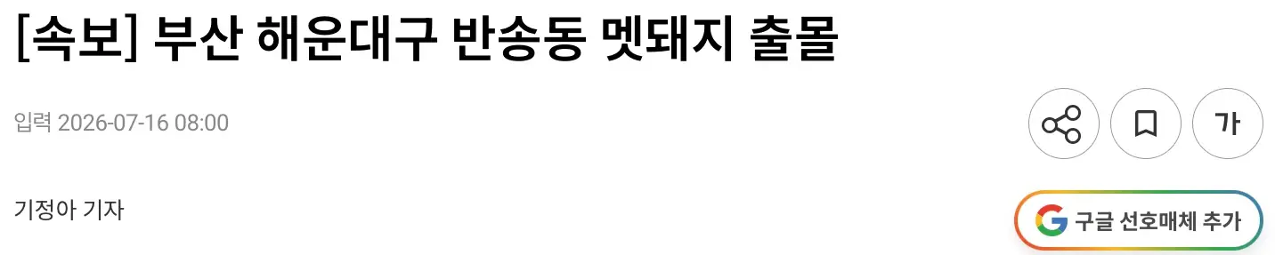(속보) 부산 해운대구 반송동 멧돼지 출몰 (2)