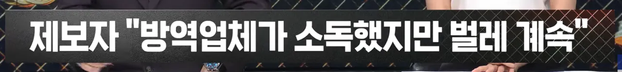 (극혐) 아이오닉 신차에 벌레가 우글우글 (2)