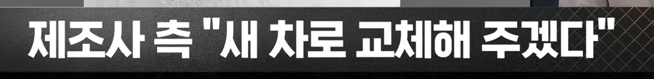 (극혐) 아이오닉 신차에 벌레가 우글우글 (8)