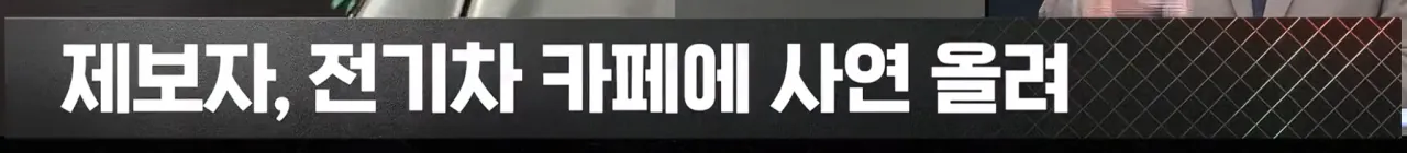 (극혐) 아이오닉 신차에 벌레가 우글우글 (7)