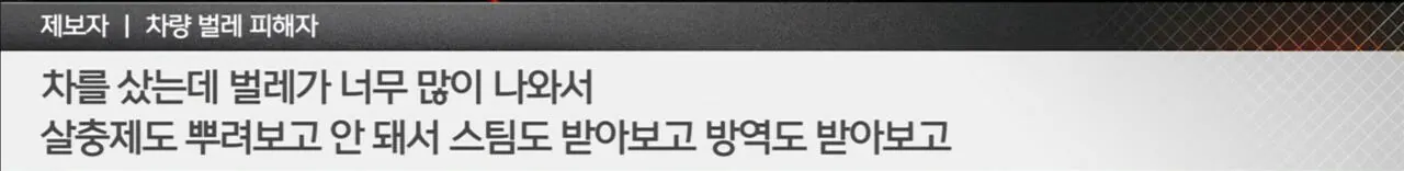 (극혐) 아이오닉 신차에 벌레가 우글우글