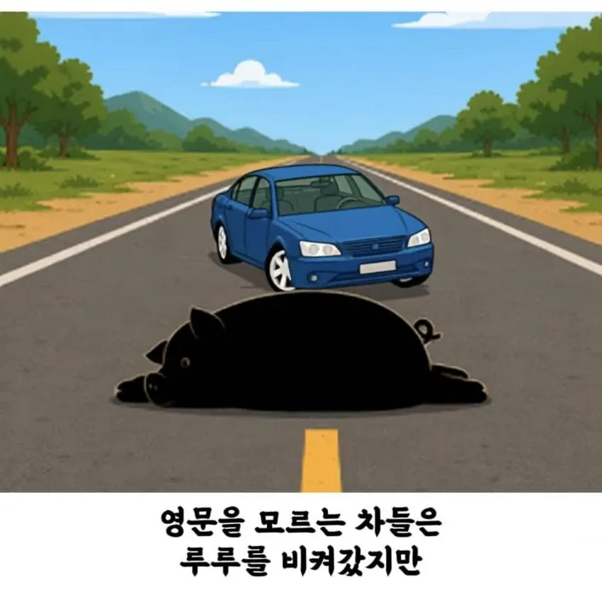 반려 돼지 덕분에 목숨 건진 여자 (9)