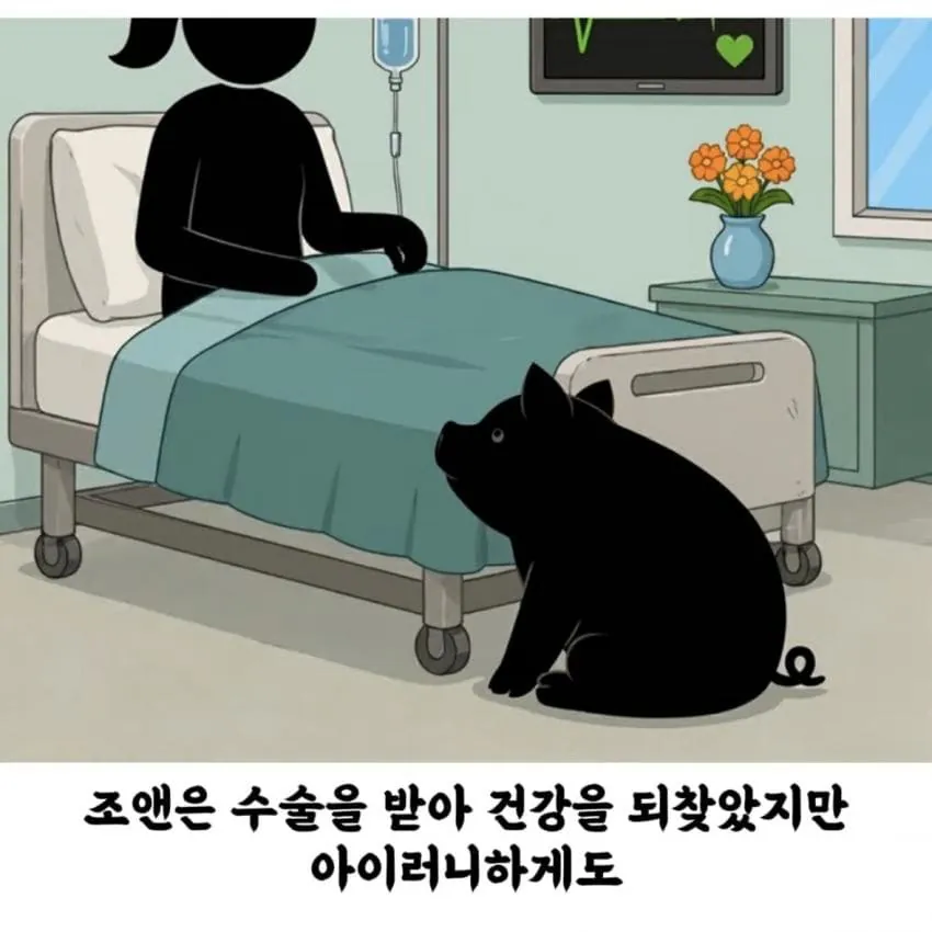 반려 돼지 덕분에 목숨 건진 여자 (13)