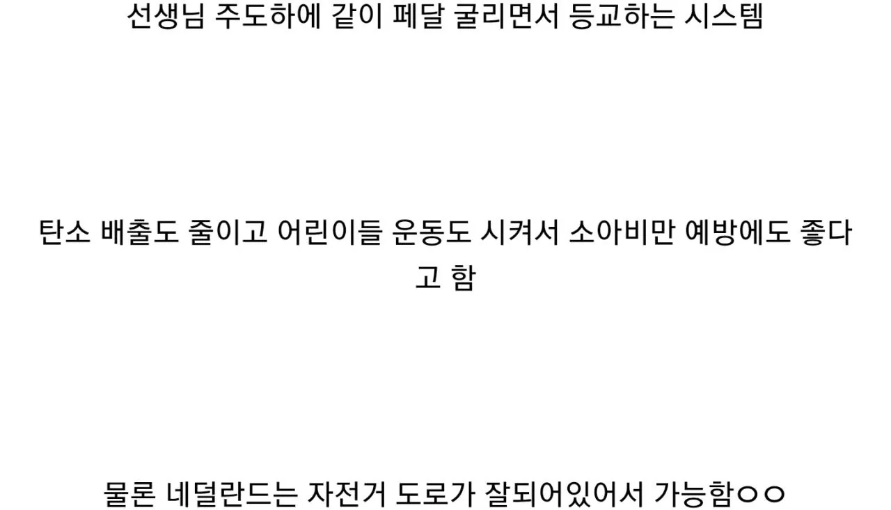 네덜란드의 스쿨버스 (3)