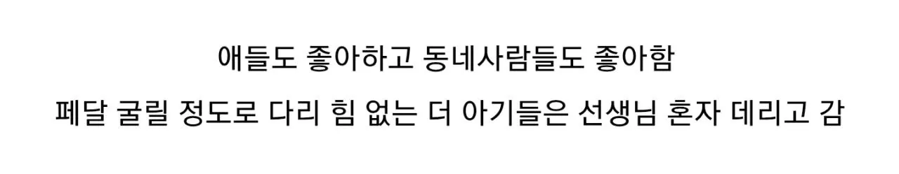 네덜란드의 스쿨버스 (4)
