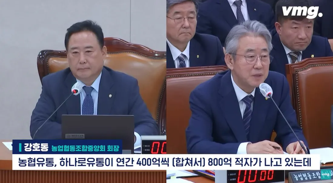 적자 매장 57%, 4년째 적자중인 위기의 하나로 마트 (25)